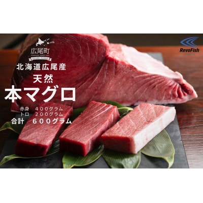 広尾産 本まぐろの刺し身(赤身400g、トロ200g)(AM0008)