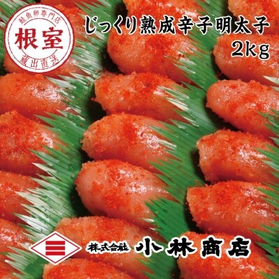 �؂�h�q�����q2kg B-16040