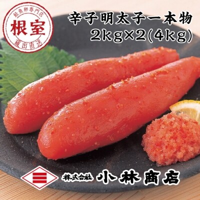 �n���h�q�����q2kg×2P(�v4kg) D-16005
