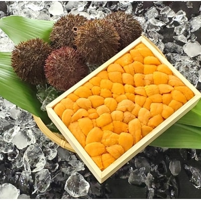 エゾバフンウニバラ詰め150g×1折 C-71024