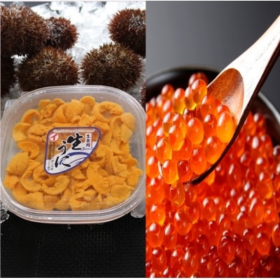 エゾバフンウニ塩水2P、いくら2P[11月下旬以降発送] E-71018