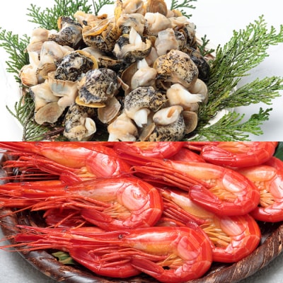 ★北海しまえび・つぶセット A-81014