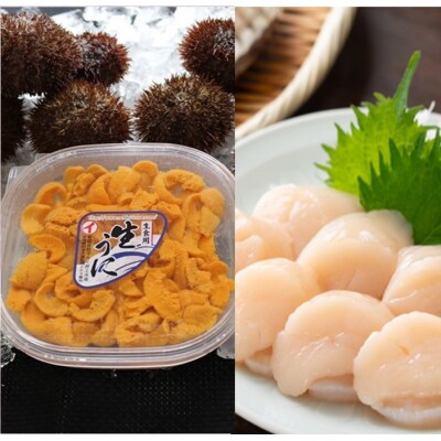 エゾバフンウニ塩水パック、ホタテ貝柱[11月中旬以降発送] D-71060