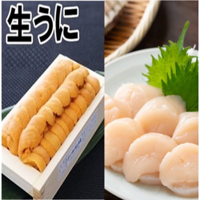 ウニ100g、刺身ホタテ貝柱500g[11月中旬以降発送] D-71061