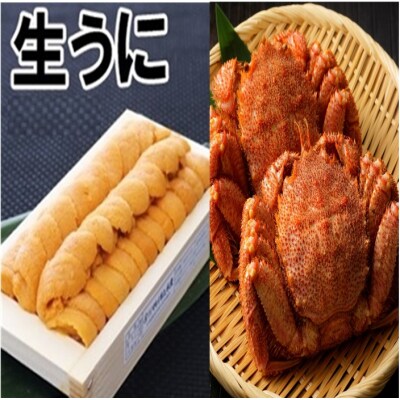 ウニ100g×1折、毛ガニ2尾[11月中旬以降発送] D-71063