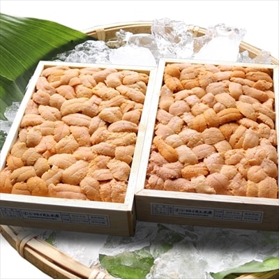 エゾバフンウニバラ140～150g×2折[11月中旬発送] F-71012