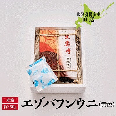 エゾバフンウニ(黄色)約250g×1折 D-22001