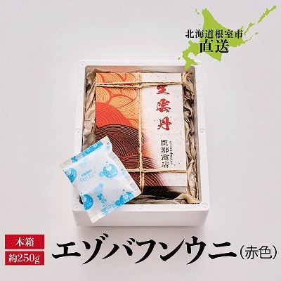 エゾバフンウニ(赤色)約250g×1折 F-22001