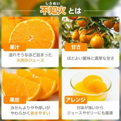 【先行受付】肝付町産不知火(しらぬい)　A18008