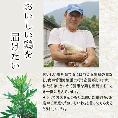 米ヶ岡鶏　もも肉切身1.5kg　むね肉切身1.5kg　計3kg　118001