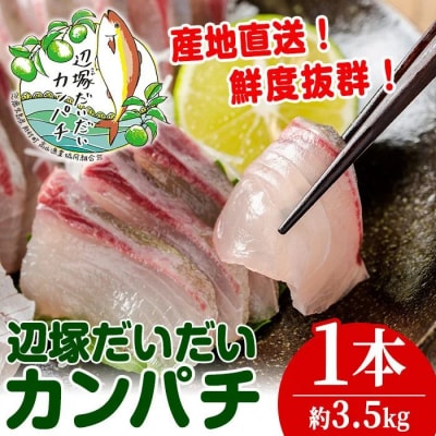 産地直送!辺塚だいだいカンパチ(約3.5kg・1本) 　B08002