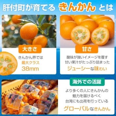 【先行受付】肝付町産 完熟ハウスきんかん　A18004