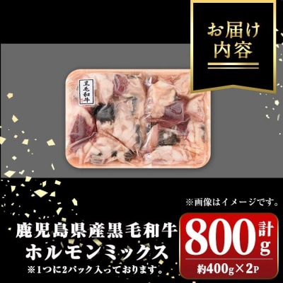 鹿児島県産黒毛和牛ホルモンミックス(計約800g・約400g×2P)　P01001