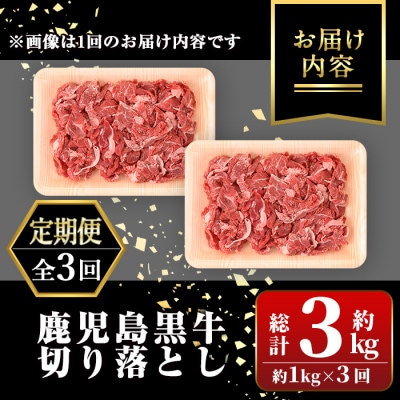 <定期便・全3回・隔月>満足便 鹿児島黒牛切り落とし　C01010 