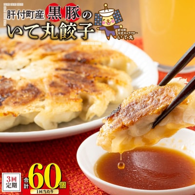 【3回定期】肝付町産　黒豚のいて丸餃子　合計60個(たれ付)　A43086