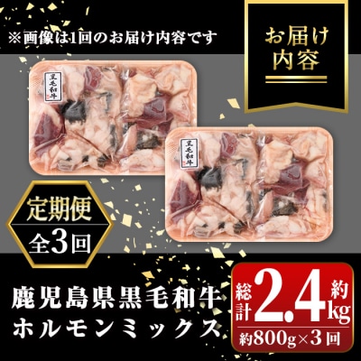<定期便・全3回・隔月>鹿児島県産黒毛和牛ホルモンミックス　C01011 