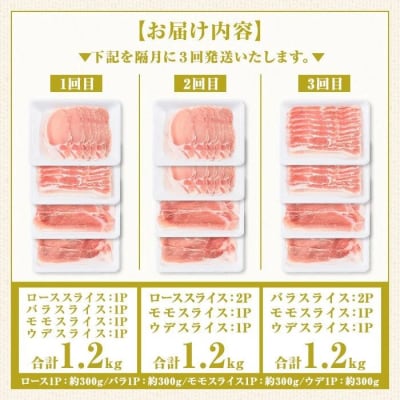 肝付町セレクト定期便 《鹿児島県産豚肉しゃぶしゃぶセット》【全3回】　C05046