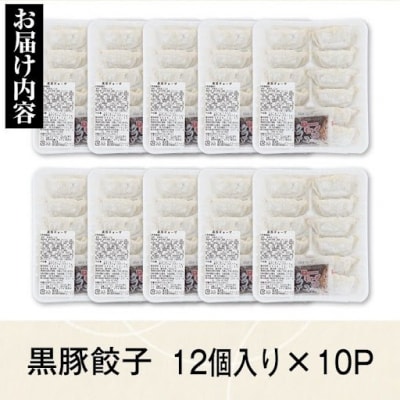 黒豚餃子セット(12個入×10パック)　A02046