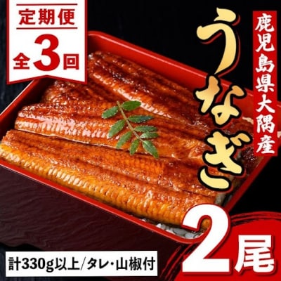 <定期便・計3回(連続)>うなぎ蒲焼・大(有頭)(2尾計330g以上✕3回タレ山椒付)　E57003