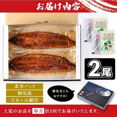 <定期便・計3回(連続)>うなぎ蒲焼・大(有頭)(2尾計330g以上✕3回タレ山椒付)　E57003