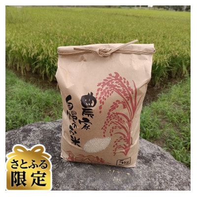 【さとふる限定】令和8年産 新米 農家直送 福岡県産ゆめつくし 精米5kg