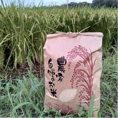 【さとふる限定】令和8年産 新米 農家直送 福岡県産ゆめつくし 精米5kg