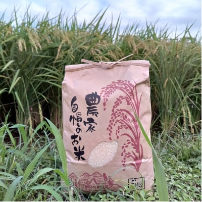 【さとふる限定】令和8年産 新米 農家直送 福岡県産ゆめつくし 精米5kg