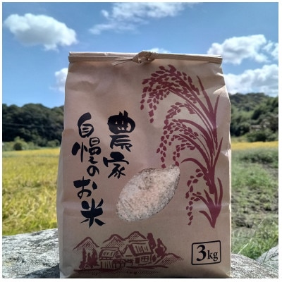 令和8年産 新米 農家直送 福岡県産ゆめつくし 精米3kg
