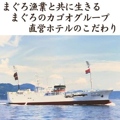 天然鮪まぐろ節(3g×10P)×5袋　104008