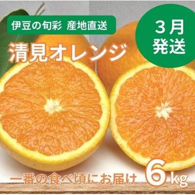 �y�ɓ��݂̂���E���k�z�������ĉʎ��@�����@�I�����W�@6kg�@A025 / ���n�̌��_���ӂ��ڂ�