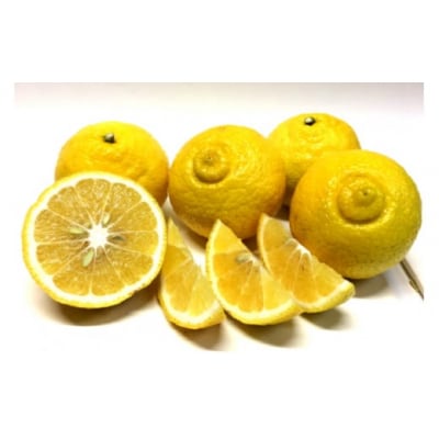 【伊豆のみかん・柑橘】もぎたて果実　はるか　5kg　A019 / 収穫体験農園ふたつぼり