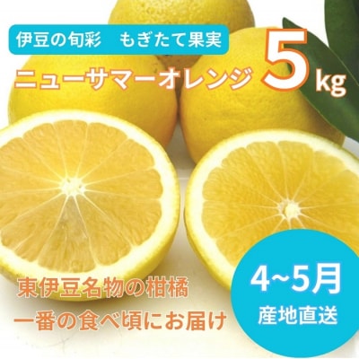 �y�ɓ��݂̂���E���k�z�������ĉʎ��@�j���[�T�}�[�I�����W�@5kg�@A018 / �ӂ��ڂ�