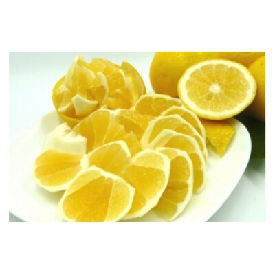 【伊豆のみかん・柑橘】もぎたて果実　ニューサマーオレンジ　5kg　A018 / ふたつぼり