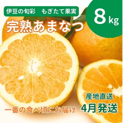 【伊豆のみかん・柑橘】もぎたて果実　あまなつ　8kg　A023 / 収穫体験農園ふたつぼり