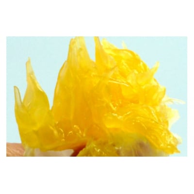 【伊豆のみかん・柑橘】もぎたて果実　あまなつ　8kg　A023 / 収穫体験農園ふたつぼり