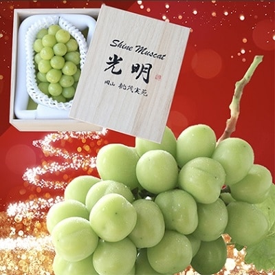 追熟シャインマスカット1房(650g以上)「光明」桐箱入 桃茂実苑[No.5735-0875]