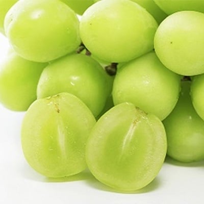 追熟シャインマスカット1房(650g以上)「光明」桐箱入 桃茂実苑[No.5735-0875]