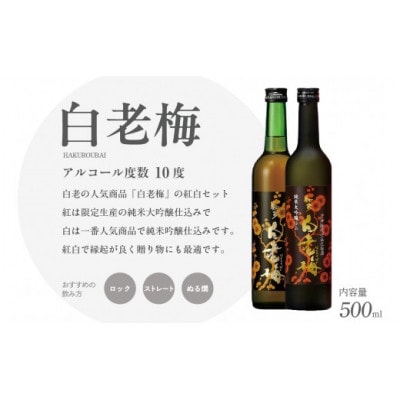知多の梅酒「白老梅」純米吟醸、純米大吟醸のセット