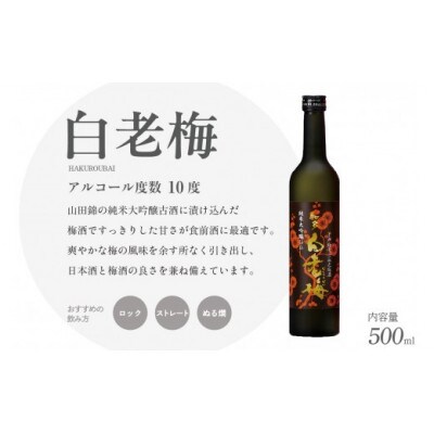知多の梅酒「白老梅」純米大吟醸　2本セット