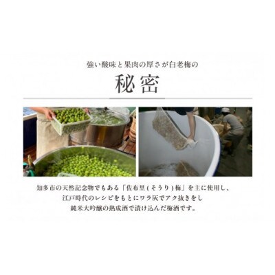 知多の梅酒「白老梅」純米大吟醸　2本セット