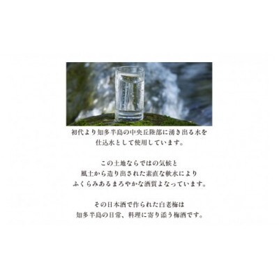 知多の梅酒「白老梅」純米吟醸　2本セット