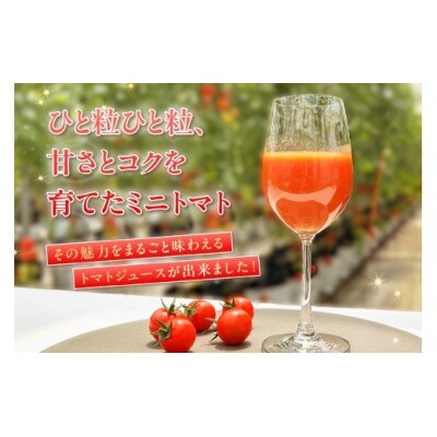 【知多アモーレトマト】オーガニックミニトマト100%無添加トマトジュース200ml×3本
