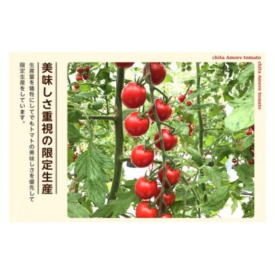 【知多アモーレトマト】オーガニックミニトマト100%無添加トマトジュース200ml×9本