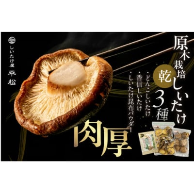 数量限定:500セット  知多の自然の林内でじっくり育った希少な露地栽培原木干ししいたけセット