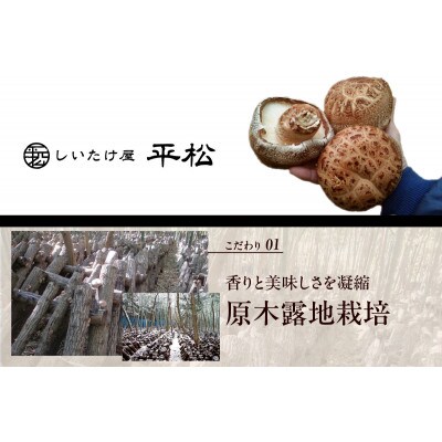 しいたけ好きの炊き込みご飯の素【椎茸でかっ】220g×3パック