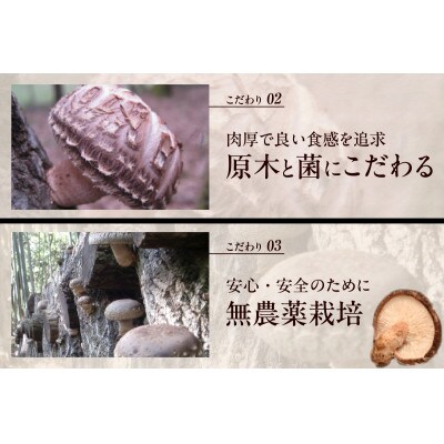 しいたけ好きの炊き込みご飯の素【椎茸でかっ】220g×3パック
