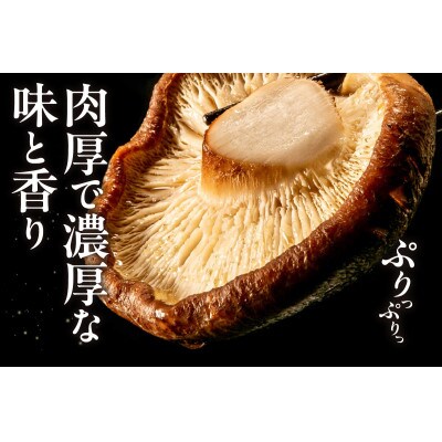 原木干し椎茸の旨煮 170g×3パック