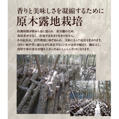 【季節限定・希少な原木栽培】しいたけ屋平松の原木生しいたけ 約700g
