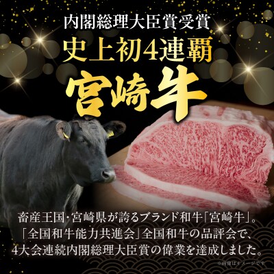 宮崎牛サーロインステーキ(計400g) 肉 牛 牛肉 国産 _T050-0011