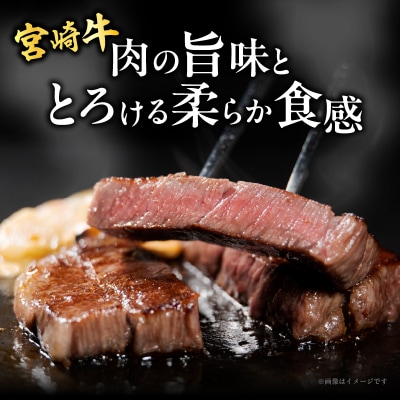 宮崎牛サーロインステーキ(計400g) 肉 牛 牛肉 国産 _T050-0011